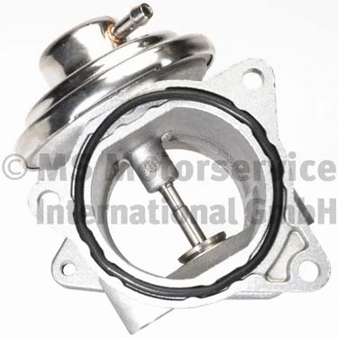 EGR Valve (R620011)
