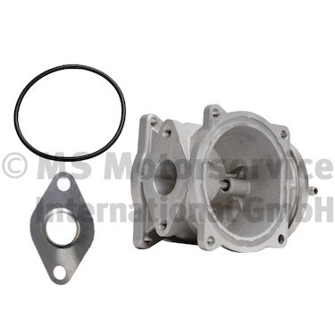EGR Valve (R620046)