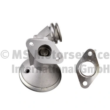 EGR Valve (R620078)