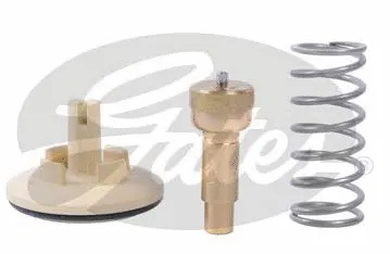 Thermostat, coolant (TH41887G1)