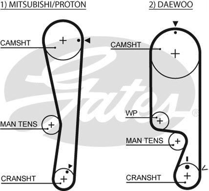 Timing Belt