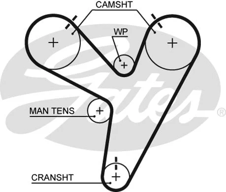 Timing Belt
