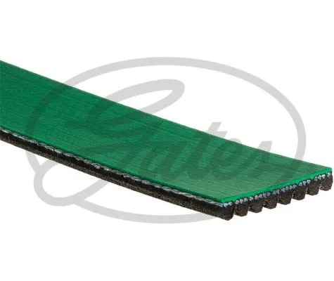 V-Ribbed Belt
