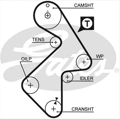 Timing Belt