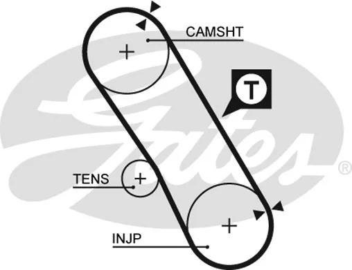 Timing Belt (T1099)