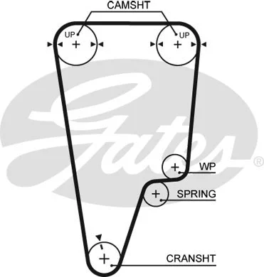 Timing Belt