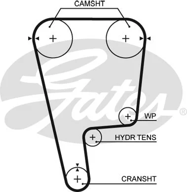 Timing Belt