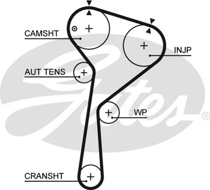 Timing Belt