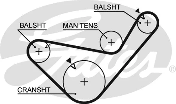 Timing Belt