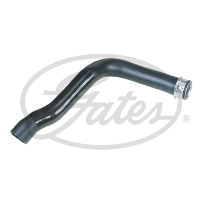 Radiator Hose (3958)