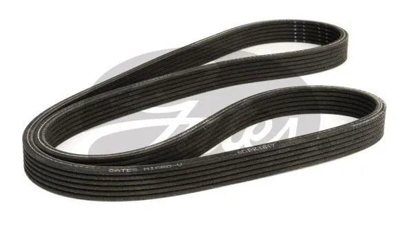 V-Ribbed Belt