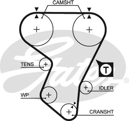 Timing Belt