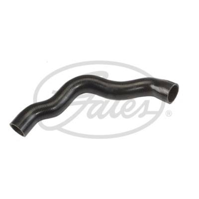 Radiator Hose (05-1705)