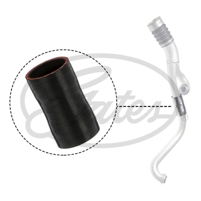 Charge Air Hose (09-0743)