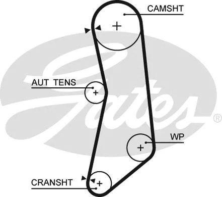 Timing Belt (T1637)