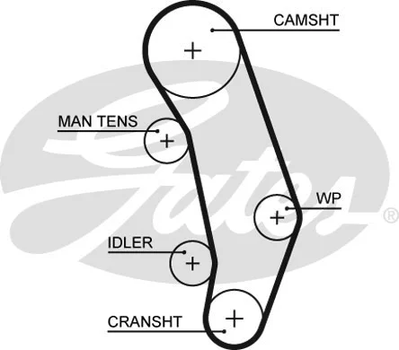 Timing Belt