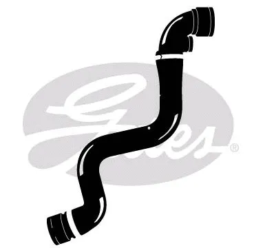 Radiator Hose (3936)