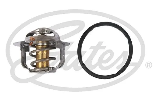 Thermostat, coolant (TH52488G1)