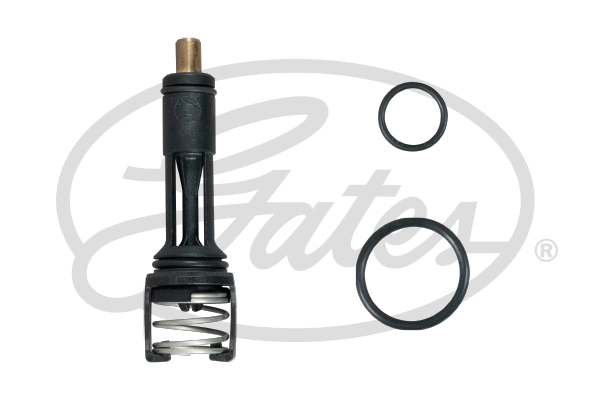 Thermostat, coolant (TH606113G1)