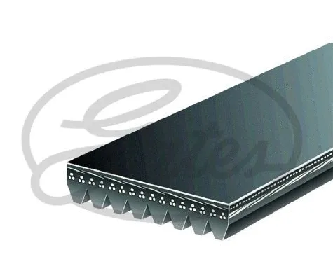 V-Ribbed Belt (2PJ800)