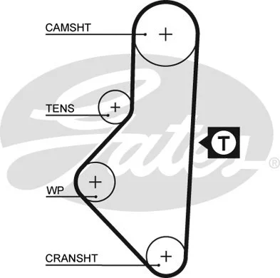 Timing Belt