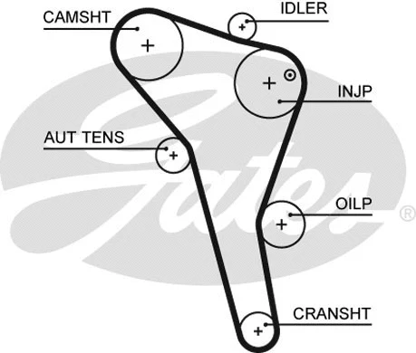 Timing Belt
