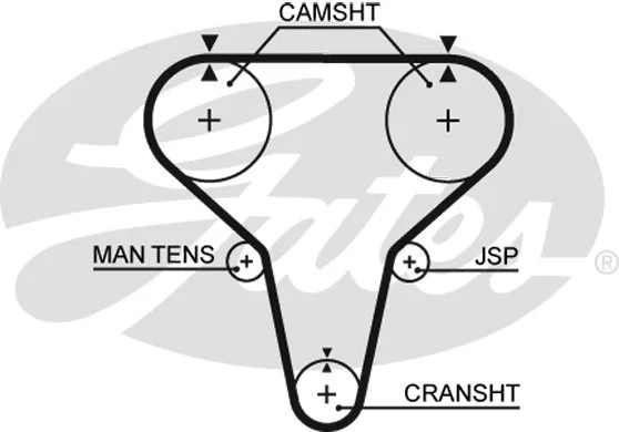 Timing Belt