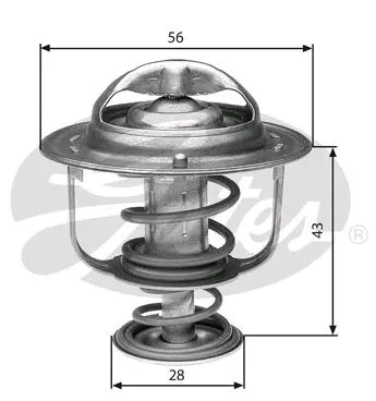 Thermostat, coolant (TH31388G1)