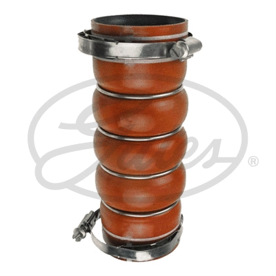 Charge Air Hose (09-0123)