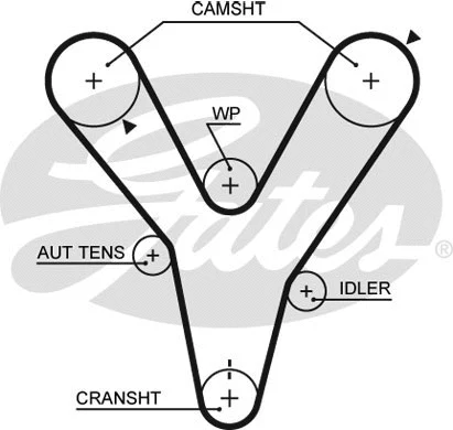 Timing Belt