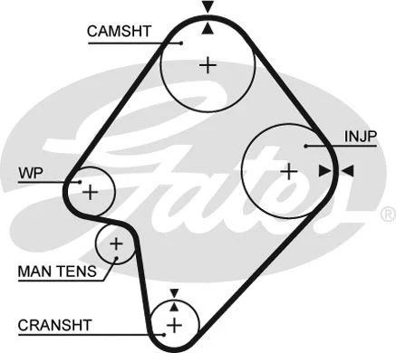 Timing Belt