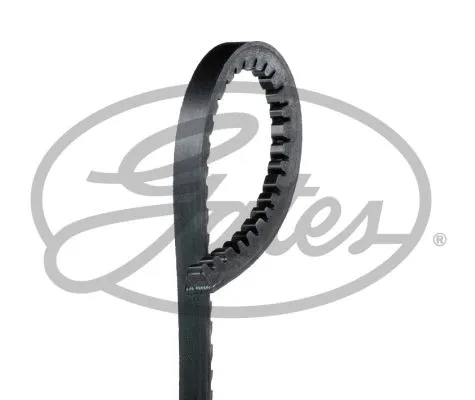 V-Belt (V10X885)