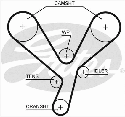 Timing Belt
