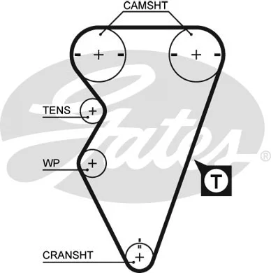 Timing Belt