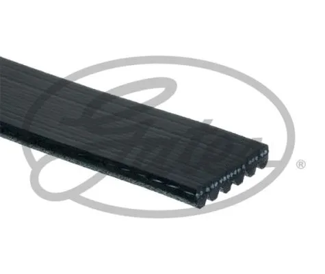 V-Ribbed Belt