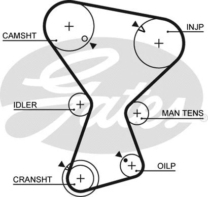 Timing Belt