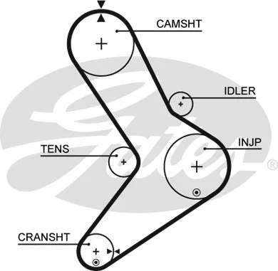 Timing Belt