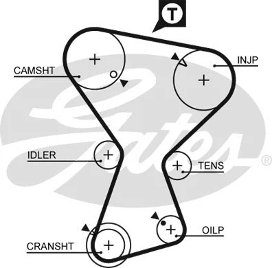 Timing Belt