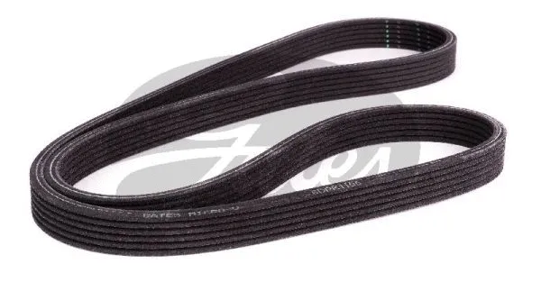 V-Ribbed Belt