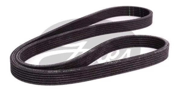 V-Ribbed Belt