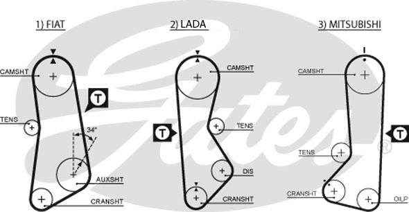 Timing Belt
