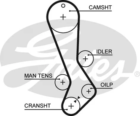 Timing Belt