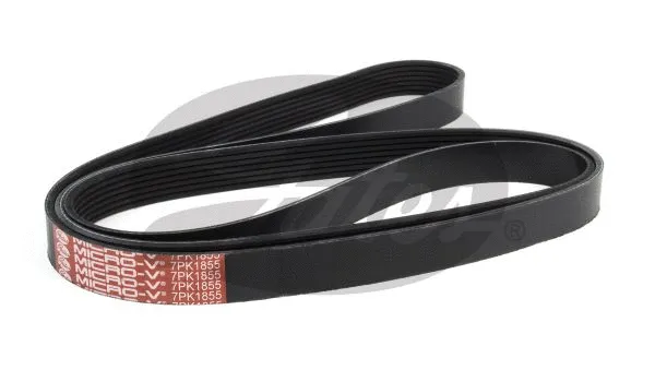 V-Ribbed Belt