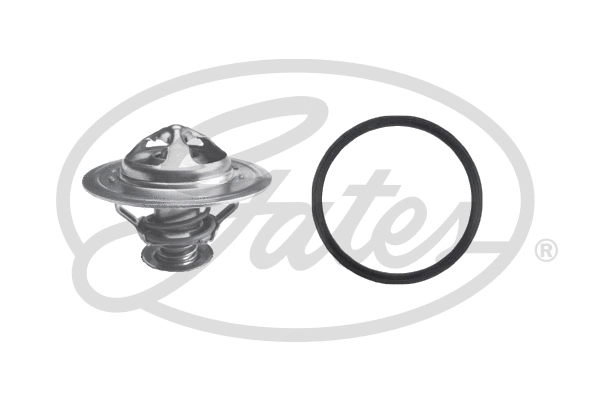 Thermostat, coolant (TH34590G1)