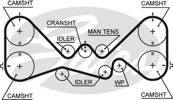 Timing Belt