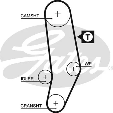 Timing Belt