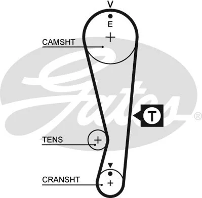Timing Belt