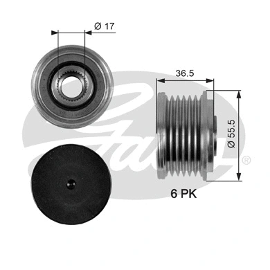 Alternator Freewheel Clutch (OAP7049)