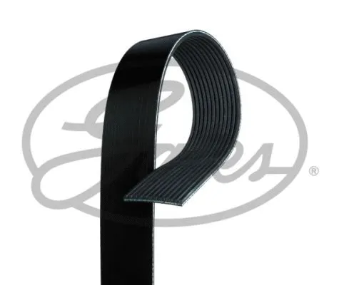 V-Ribbed Belt (12PK1830)