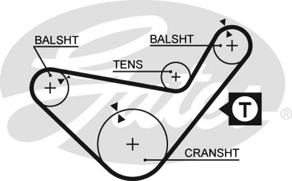 Timing Belt